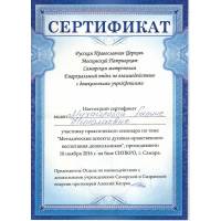 Сертификат Самарской Митрополии Русской Православной Церкви